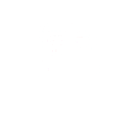 霖鼎光学